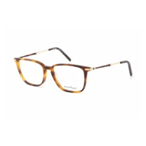 SF2861 Tortoise Vision
